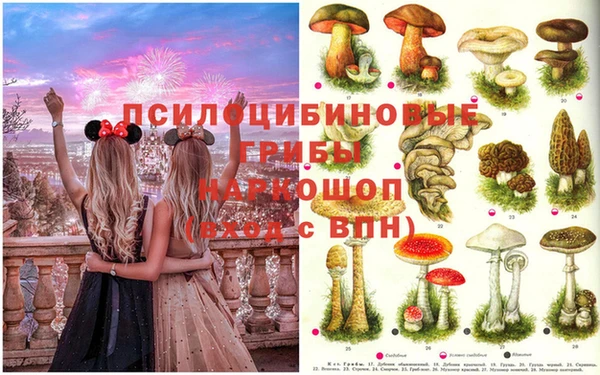 Альфа ПВП Заводоуковск