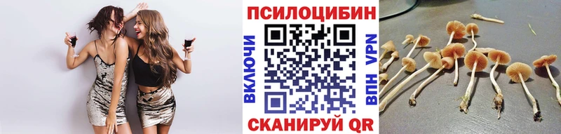 Псилоцибиновые грибы ЛСД  mega ССЫЛКА  Шумерля 