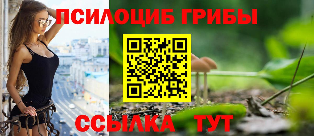 Галлюциногенные грибы прущие грибы  Галлюциногенные грибы Psilocybine cubensis  купить  сайты  Шумерля  Вход с VPN 